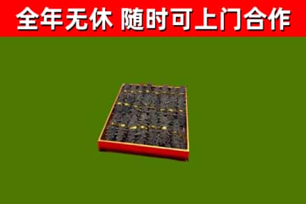 宁蒗回收海参